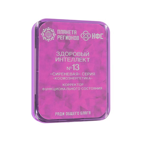 CEF N°13 : « MENTAL SAIN » image 1