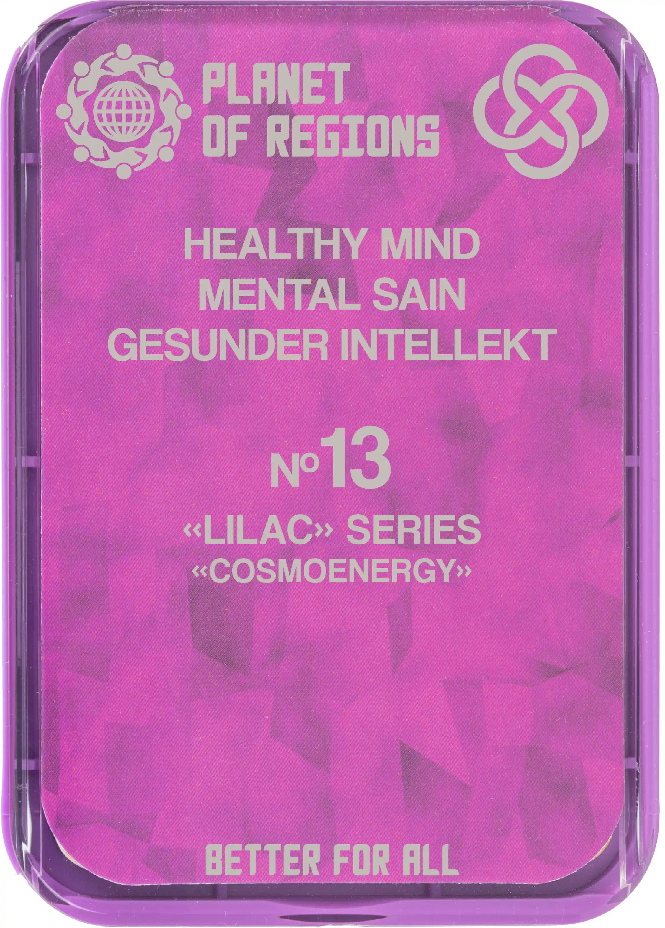 CEF N°13 : « MENTAL SAIN »