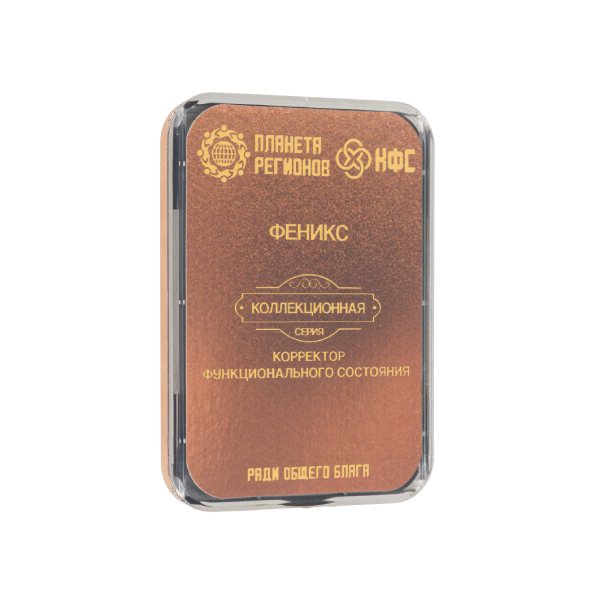 CEF "Phénix" image 1