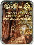 CEF « Arbre de vie. Tule »