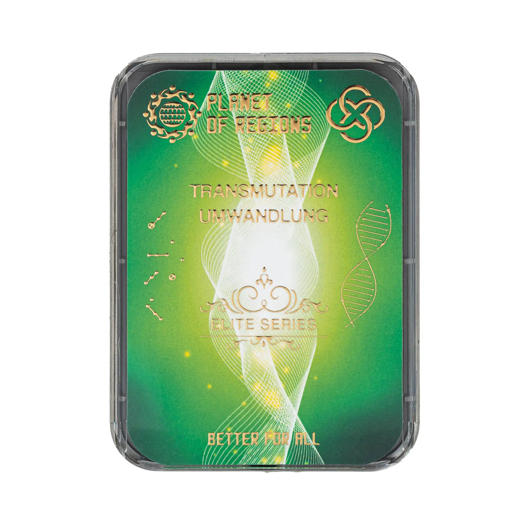 CEF « Transmutation »